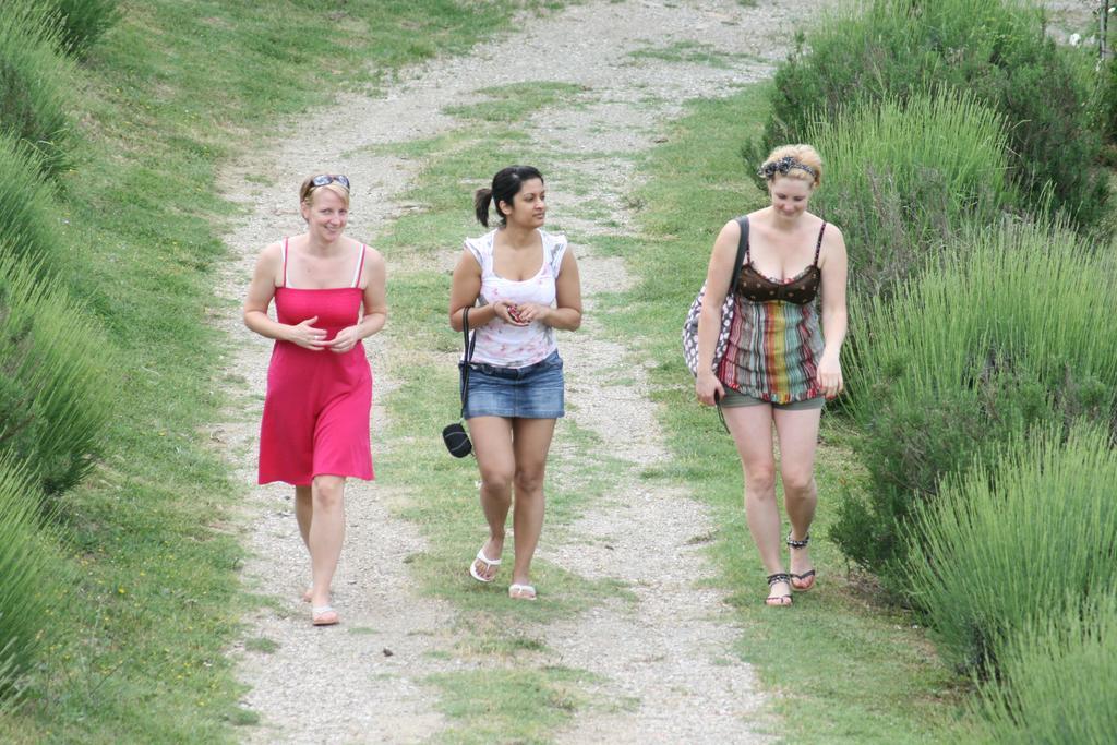 מלון Casella  Agriturismo Marilena La Casella מראה חיצוני תמונה