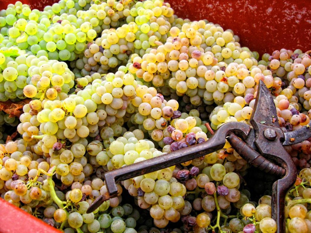 מלון Casella  Agriturismo Marilena La Casella מראה חיצוני תמונה
